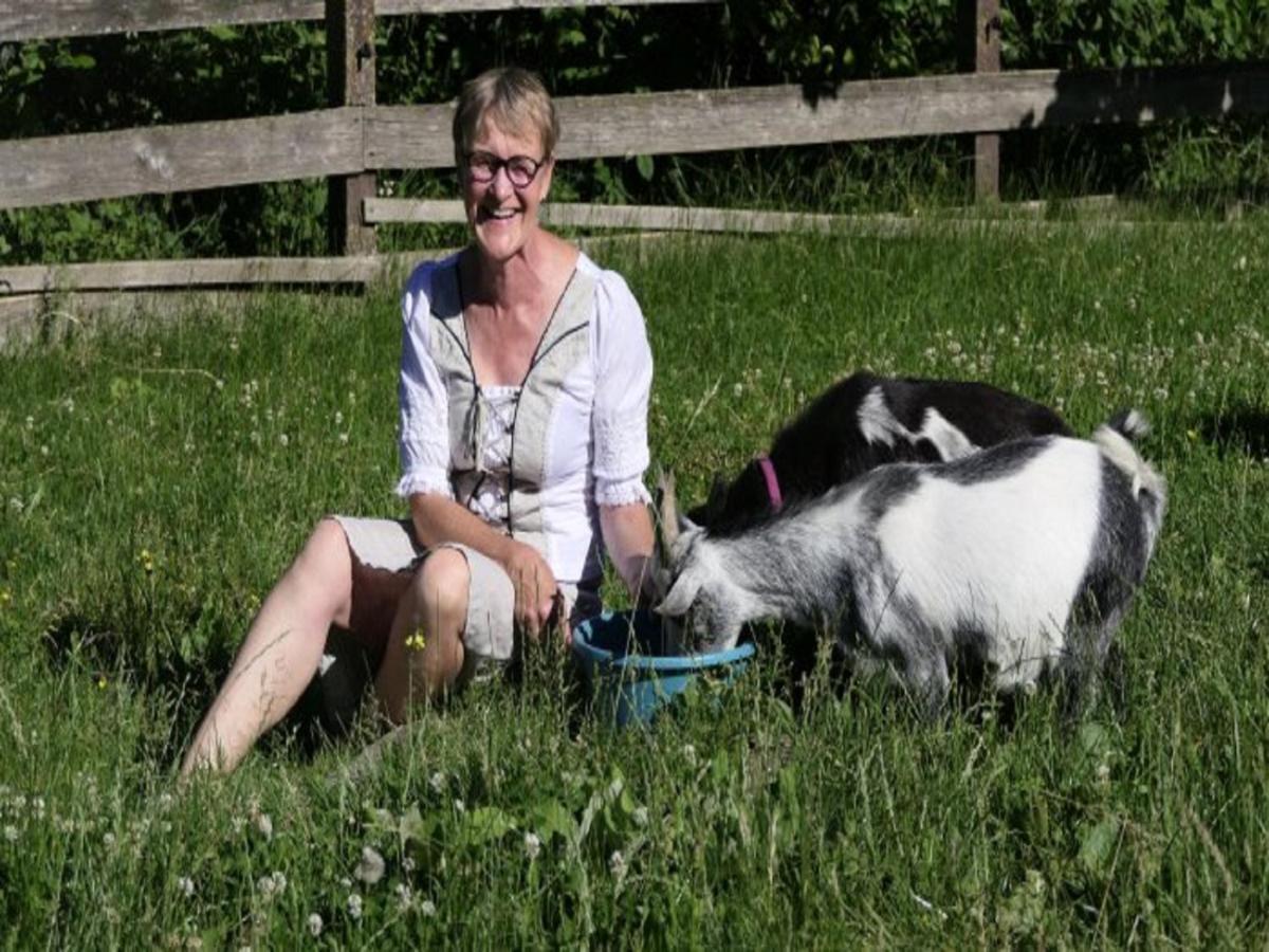 Ferienhof Pfeiffer Buchen  Esterno foto