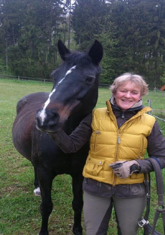 Ferienhof Pfeiffer Buchen  Esterno foto