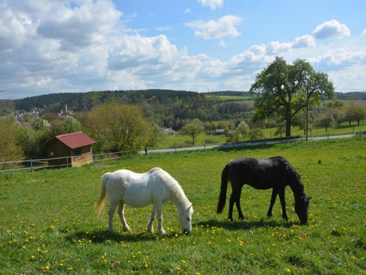 Ferienhof Pfeiffer Buchen  Esterno foto